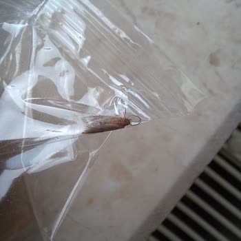 UNO Kruvasan Paketinden Böcek Çıktı