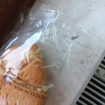 UNO Kruvasan Paketinden Böcek Çıktı