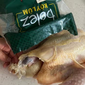 Bolez Piliç Bolez Köylüm Boyunlu Piliç