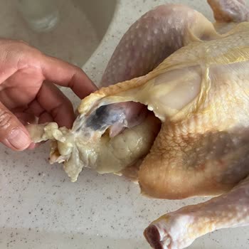 Bolez Piliç Bolez Köylüm Boyunlu Piliç