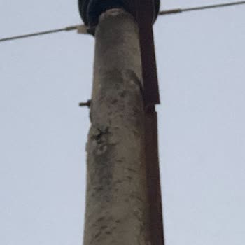 Gdz Elektrik Dağıtım Çürümüş Elektrik Direği!