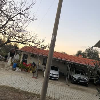 Gdz Elektrik Dağıtım Çürümüş Elektrik Direği!