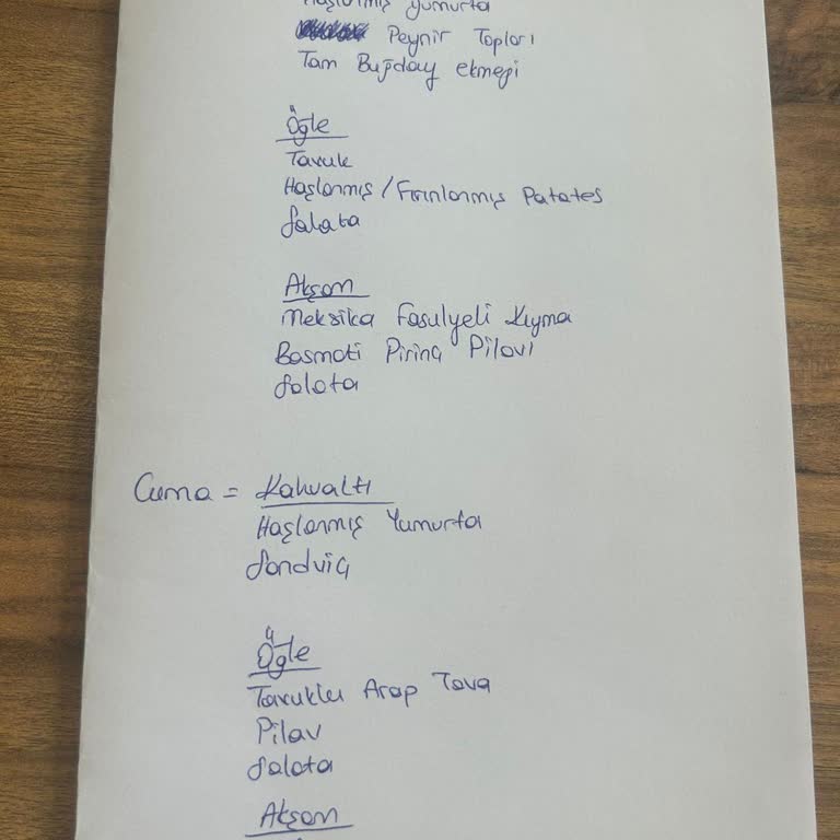 Alo Diyet Menü, Lezzet Ve İade Sorunu!