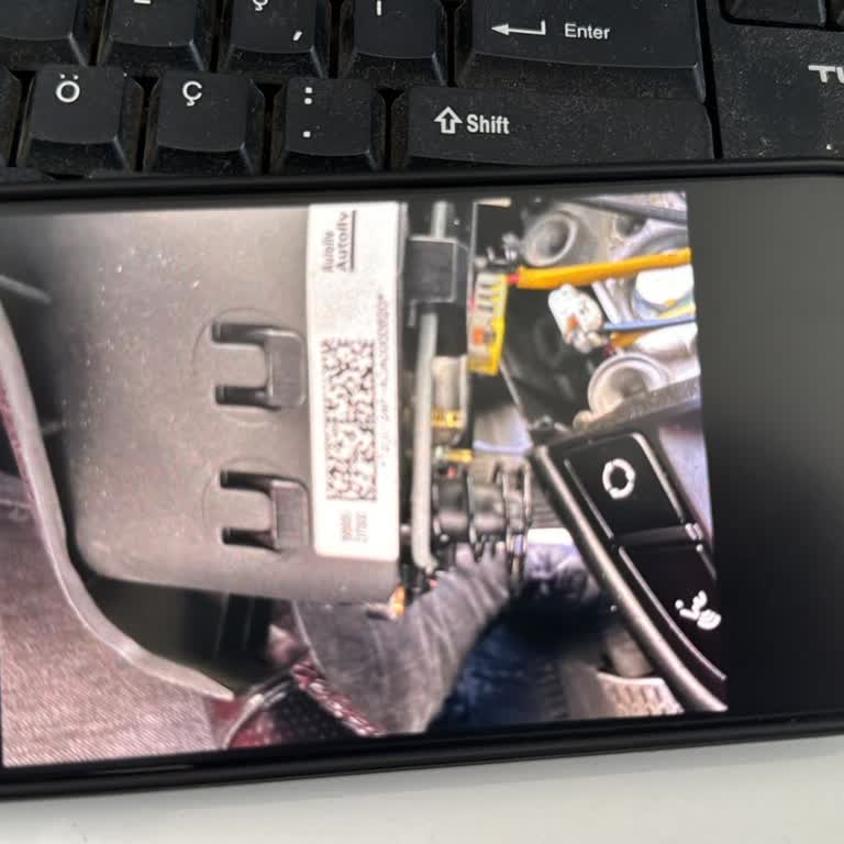 Oto Rapor Mersin Mezgitli Şubesi