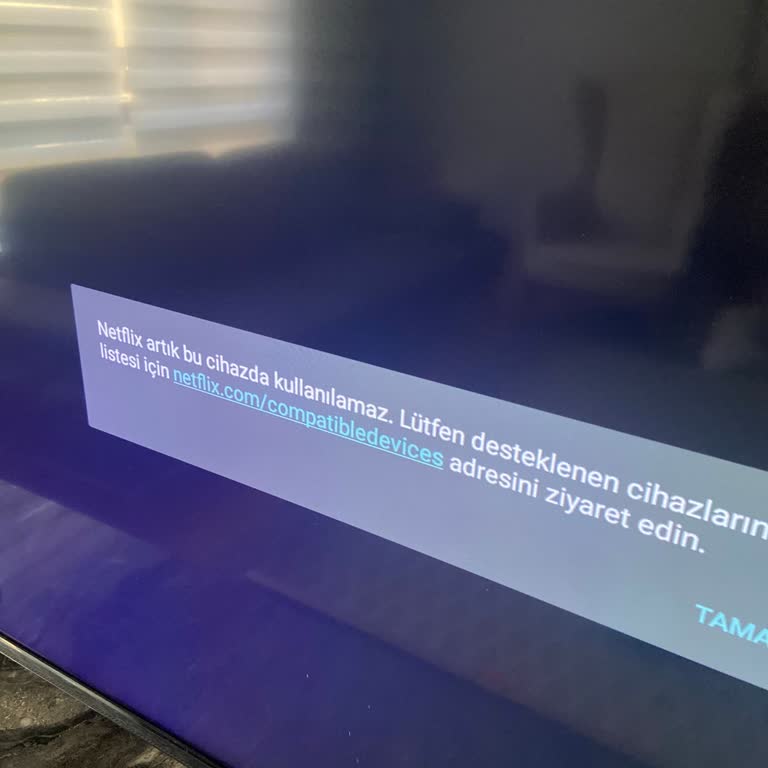 Skytech TV Netflix'e Girme Sorunu