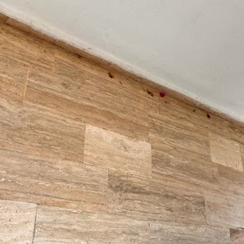 Jolly Turun Tavsiye Ettiği Önerdiği Otel Pislik Yuvası