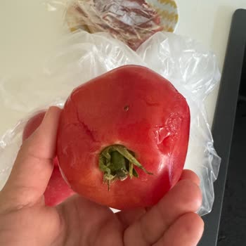 Migros Şikayet Sanal Market