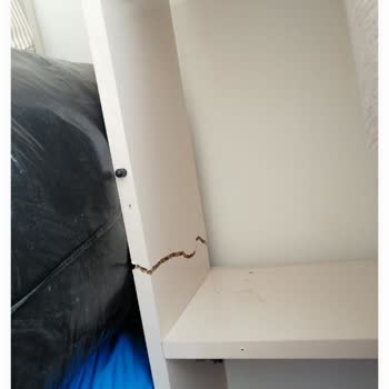 Türkiyem Nakliyat Tehdit İçerikli Konuşma