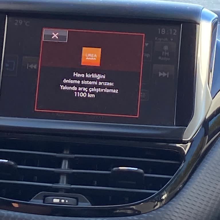 Peugeot AdBlue Hava Filtresi Partikül Arızası