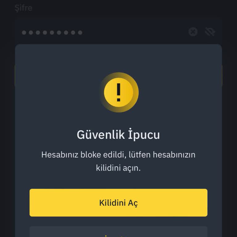 Binance Bu Hesap Devre Dışı Bırakıldı