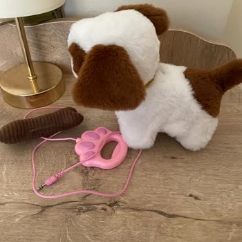 Armağan Oyuncak Arızalı Ürünle İlgilenmiyor