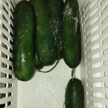 Vestel Buzdolabı Sebze Ve Ürünleri Dondurup Çürütüyor