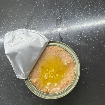 Dardanel Zeytinyağlı Ton Balığı Beyaz Böcek Yumurtası Mıdır? Nedir