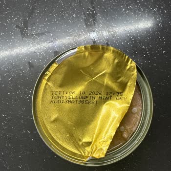 Dardanel Zeytinyağlı Ton Balığı Beyaz Böcek Yumurtası Mıdır? Nedir