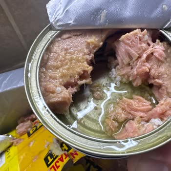 Dardanel Zeytinyağlı Ton Balığı Beyaz Böcek Yumurtası Mıdır? Nedir