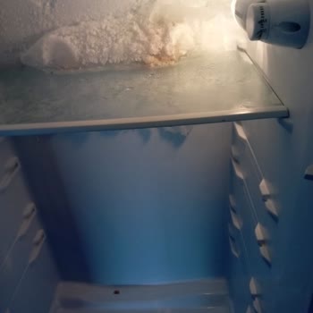 Dijitsu Acil İade Talebi