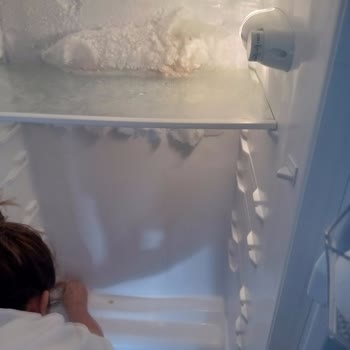 Dijitsu Acil İade Talebi