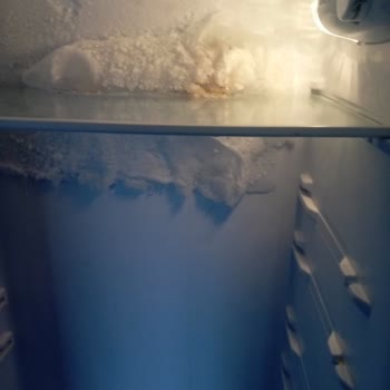 Dijitsu Acil İade Talebi