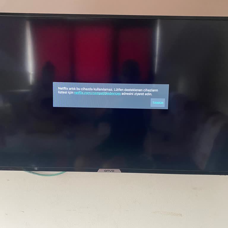 Onvo Smart TV Netflix Problemi