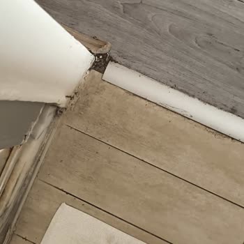 Golden AGE Yalıkavak Hijyen Problemi