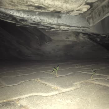 Toyota Servis Hizmeti Borovalı Otomotiv Bayraklı