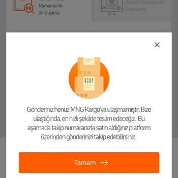 Temu MNG Kargo Hareket Etmiyor, Güncelleme Almıyor