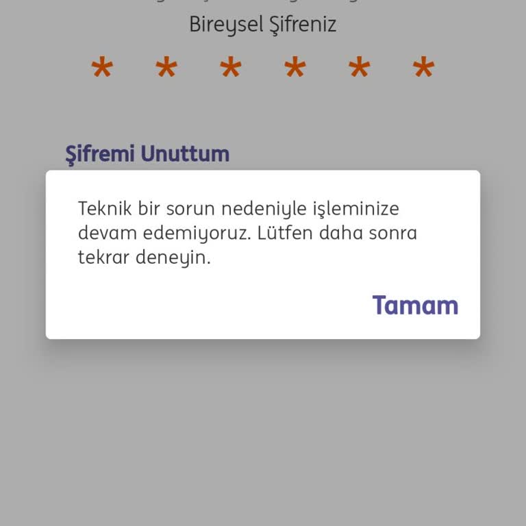 ING Mobil Bankacılık Teknik Sorunlar Nedeniyle.