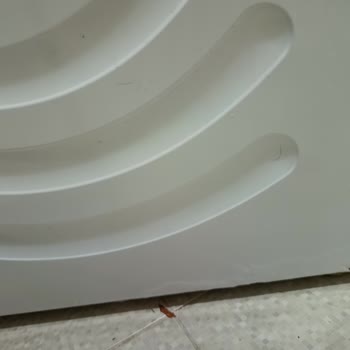 Profilo Çamaşır Makinesi Paslanma