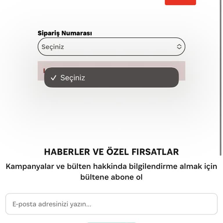 Flaw Wear'dan Gelen Ürünlerin Kalitesi Ve İade Sorunu
