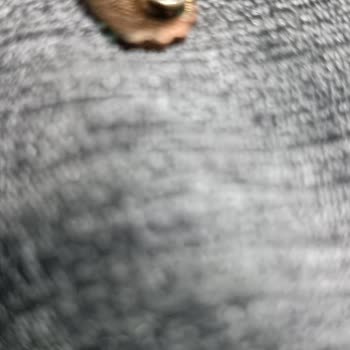 Koton Küpe Boya Ve Küf Olması