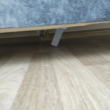 Limon Koltuk Aldatmacası Sonuç Hayal Kırıklığı