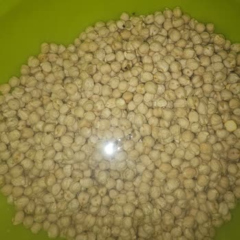 BİM Mağazaları Ve Bozuk Ürünleri