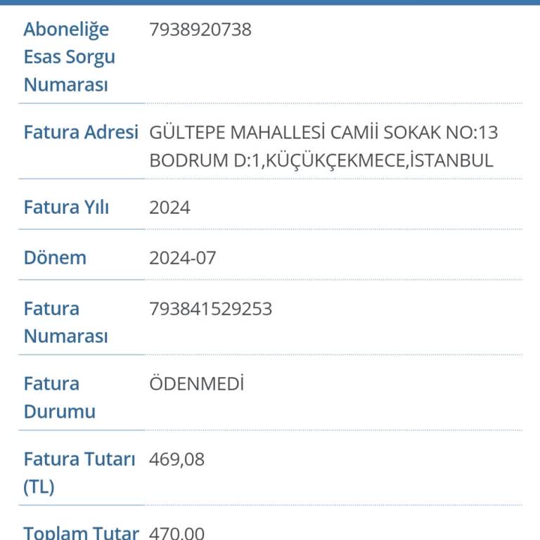 edevletdestekodemeleri.online Elektrik Faturası Hatası