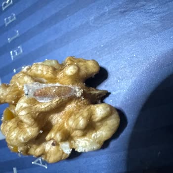 Kara Hisar Pastaneleri Kurtlu Kurabiye