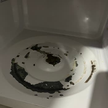 Bosch Mikrodalga Fırın Şikayeti