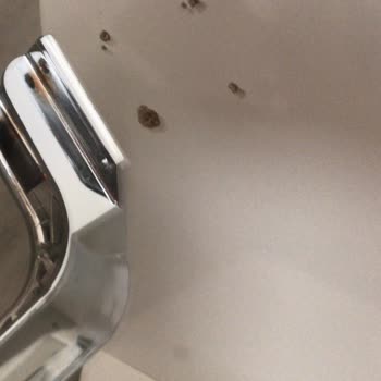 Ankara Fulya Nakliyat İle Felaket Gibi Bir Taşınma Deneyimi