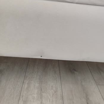 Ankara Fulya Nakliyat İle Felaket Gibi Bir Taşınma Deneyimi