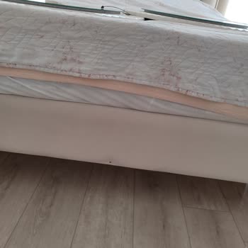 Ankara Fulya Nakliyat İle Felaket Gibi Bir Taşınma Deneyimi