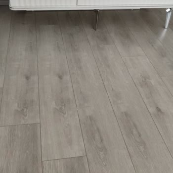 Ankara Fulya Nakliyat İle Felaket Gibi Bir Taşınma Deneyimi