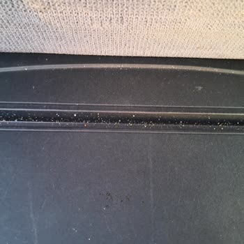 Kamil Koç Otobüs Yolculuğunda Temizlik Ve Güvenlik Sorunları