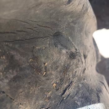 Özka Lastik Ve Müşteri İlgisizliği Müşteri Memnuniyetsizliği