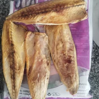 Balık Dünyası Balık Dünyasi Bozuk Balık Sorunsalı!