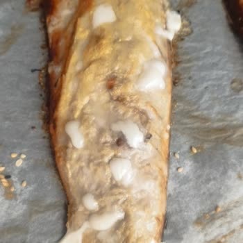 Balık Dünyası Balık Dünyasi Bozuk Balık Sorunsalı!