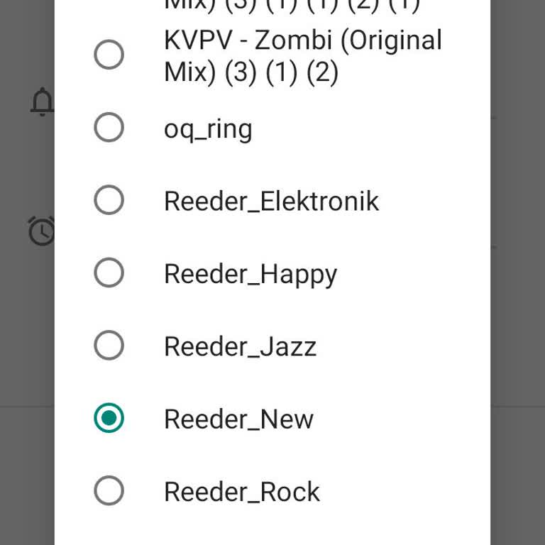 Reeder S19 Pro Max Müzik Sorunu