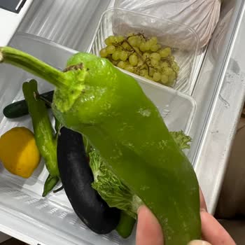 Fabrika Çıkışlı Kusurlu Bosch Marka Buzdolabı!