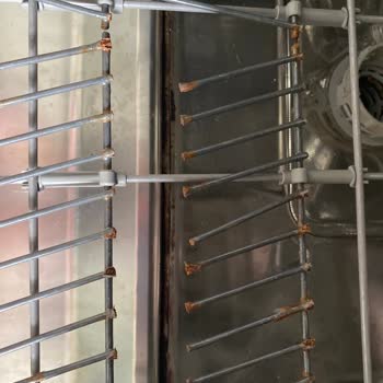 Beko Marka Bulaşık Makinemin Sepetleri Küflendi