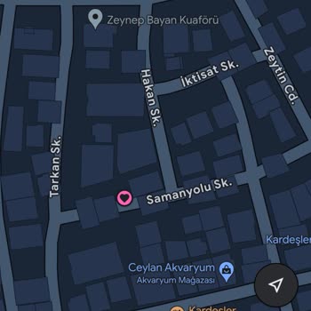 Google Haritalar'da Sokak İsmi Yanlış Gözüküyor, Düzeltmiyorlar