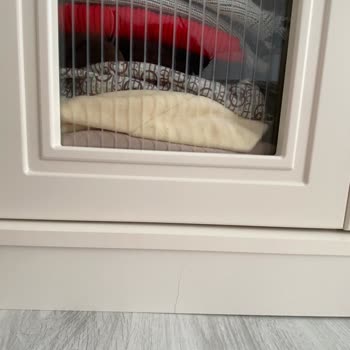 Titanic Möble Teslimatında Gecikme Ve Kalite Sorunları