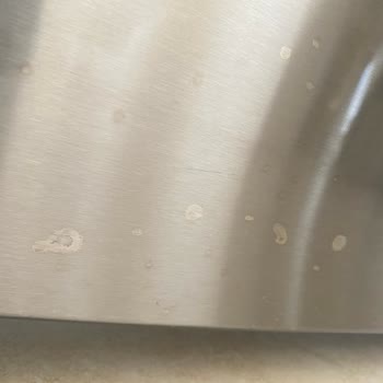 Bosch Buzdolabı Kapağı Paslanıyor