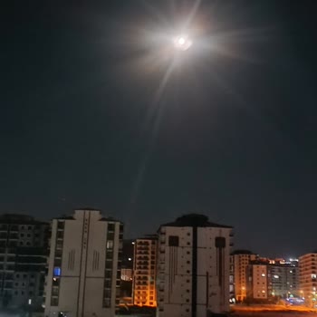 Malatya Büyükşehir Belediyesi İlaçlama Sorunu Yaşıyoruz